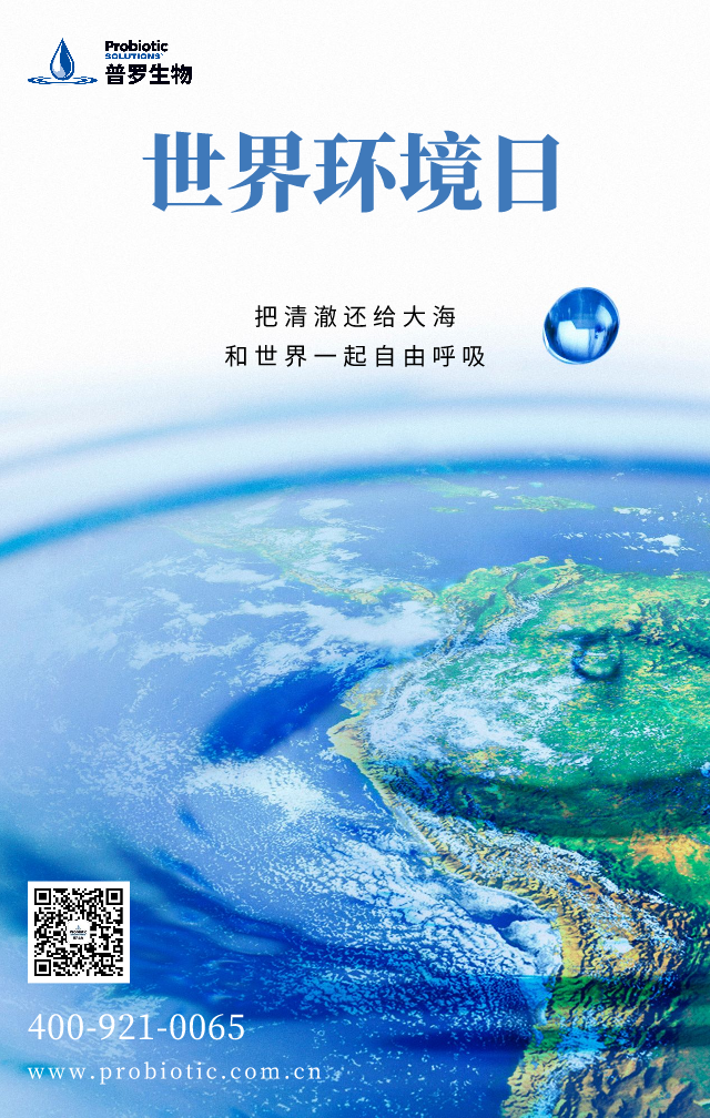 1623121847211793.png 環(huán)境日.png